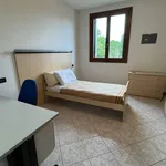 Rent 1 bedroom apartment of 110 m² in Vicenza