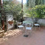 Rent 3 bedroom apartment of 75 m² in Firenze