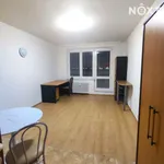 Rent 1 bedroom apartment of 24 m² in Ostrava