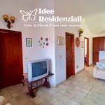 Rent 1 bedroom apartment in Palau