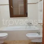 Rent 4 bedroom apartment of 113 m² in San Giovanni Teatino