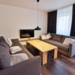 Rent 1 bedroom apartment of 60 m² in Heidelberg