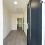 Rent 1 bedroom house of 409 m² in Tuhaň