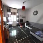 Rent 4 bedroom apartment of 90 m² in Bologna