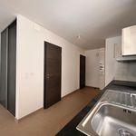 Appartement de 29 m² avec 1 chambre(s) en location à Saint
