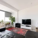 Rent 2 bedroom apartment in lisbon