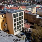 Rent 1 bedroom apartment of 35 m² in Děčín