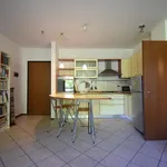 Rent 3 bedroom apartment of 80 m² in Brugherio