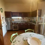 Rent 5 bedroom apartment of 100 m² in Lucca