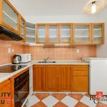 Rent 1 bedroom apartment in Plzeň