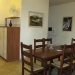 Rent 1 bedroom apartment in Siena