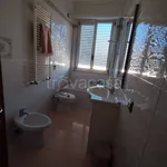 Rent 2 bedroom apartment of 48 m² in Paderno Dugnano