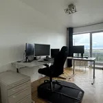 Rent 1 bedroom apartment in Antwerp