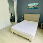 Appartement de 52 m² avec 2 chambre(s) en location à Saint-Étienne