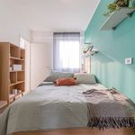 Rent a room in Padova