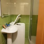 Rent 1 bedroom apartment of 24 m² in Timisoara