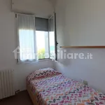 Rent 3 bedroom apartment of 60 m² in Pesaro