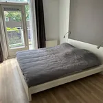 Rent 2 bedroom apartment of 70 m² in Nijmegen