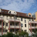 Rent 2 bedroom apartment of 35 m² in Mannheim