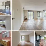 Huur 3 slaapkamer appartement van 110 m² in The Hague