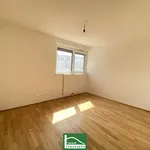 Rent 3 bedroom apartment of 8467 m² in Wien