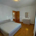 Rent 3 bedroom apartment of 80 m² in Portogruaro