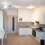 Rent 1 bedroom apartment of 30 m² in Praha