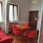 Rent 3 bedroom apartment of 60 m² in Siena