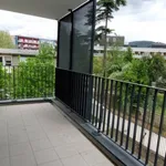 Rent 3 bedroom apartment of 65 m² in Grenoble