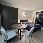 Rent 1 bedroom apartment of 38 m² in Lissone