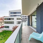 Pronajměte si 1 ložnic/e byt o rozloze 44 m² v Praha