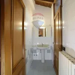 Rent 1 bedroom apartment of 40 m² in Ferrara