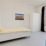 Rent 5 bedroom apartment in Prague