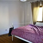 Rent 2 bedroom apartment of 55 m² in Roma