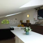 Rent 1 bedroom apartment of 28 m² in Bologna