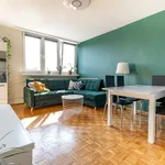 Rent 2 bedroom apartment of 36 m² in Łódź