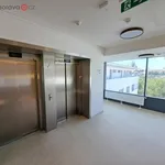 Rent 3 bedroom apartment in Brno