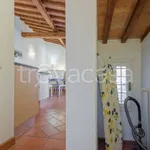 Rent 2 bedroom apartment of 50 m² in Firenze