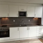 Huur 4 slaapkamer appartement van 145 m² in Amsterdam