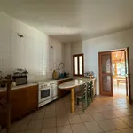 Rent 2 bedroom house of 150 m² in carini