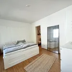 Rent 3 bedroom apartment of 77 m² in Bonn