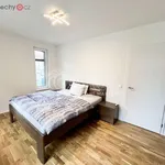 Pronajměte si 2 ložnic/e byt o rozloze 65 m² v Praha