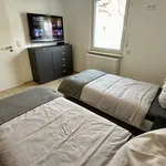 Miete 1 Schlafzimmer wohnung von 30 m² in Biebesheim am Rhein