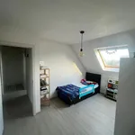 Huur 3 slaapkamer huis van 260 m² in Wingene