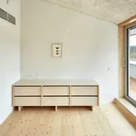 Pronajměte si 2 ložnic/e byt o rozloze 94 m² v Prague