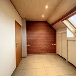 Rent 1 bedroom apartment in Roeselare