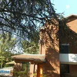 Rent 3 bedroom house of 80 m² in Bologna