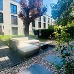 Rent 3 bedroom apartment of 75 m² in Freiburg im Breisgau