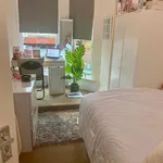 Rent 4 bedroom flat in North East England