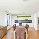 Rent 3 bedroom apartment of 88 m² in Prague